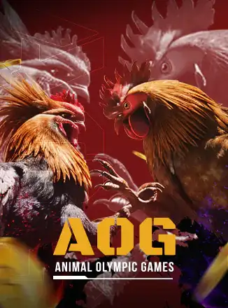 AOG Gaff Cockfight