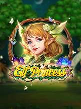 Elf Princess
