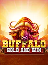 Buffalo Hold And Win