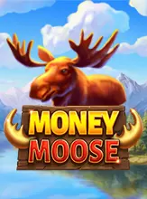 Money Moose