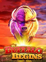 Buffalo Begins