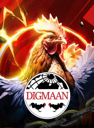 Cock Fight