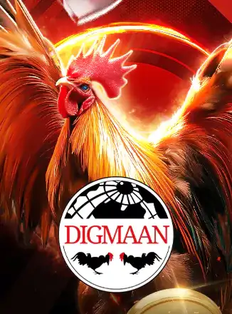 Cock Fighting
