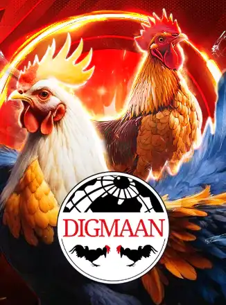 Digmaan Cock Fight