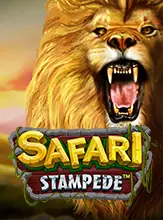 Safari Stampede