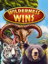 Wilderness Wins