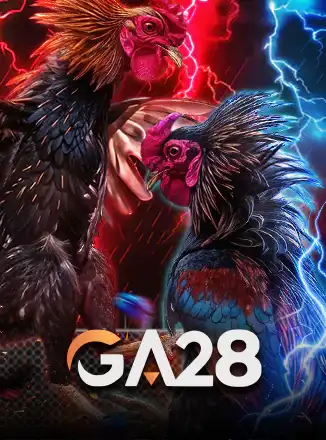 Cock Fighting