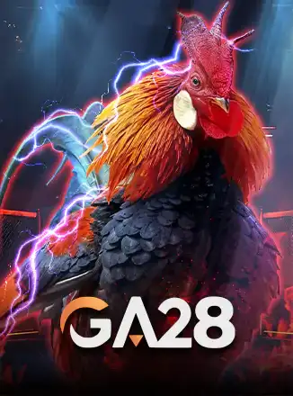 GA28 Cock Fight