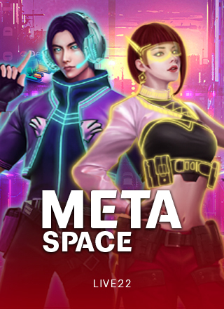 Meta Space