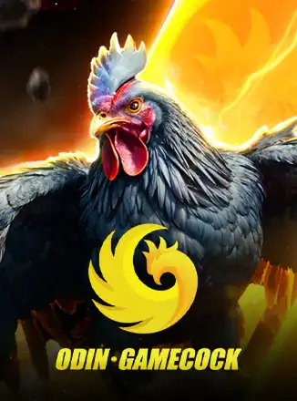 Cock Fight