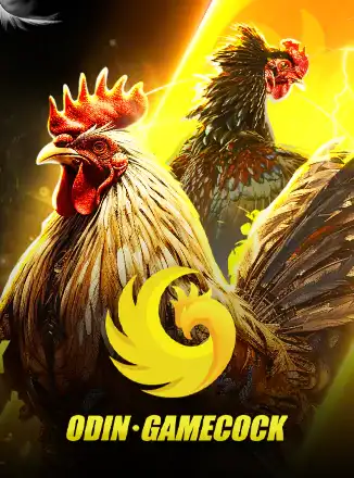 Cock Fighting