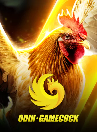 Cock Fight