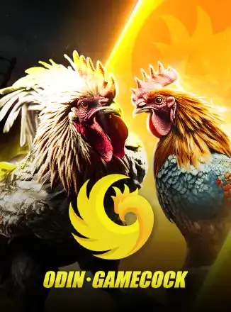 Odin Cock Fight