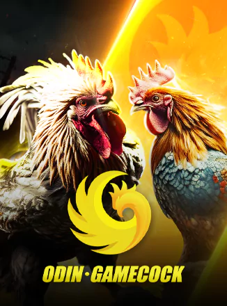 Odin Cock Fight