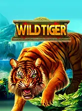 Wild Tiger