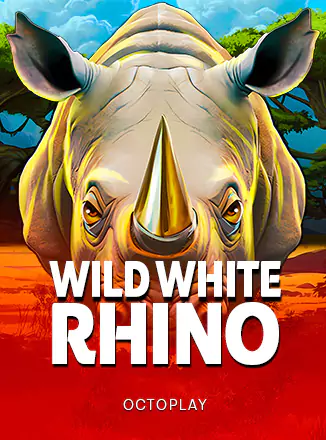 Wild White Rhino