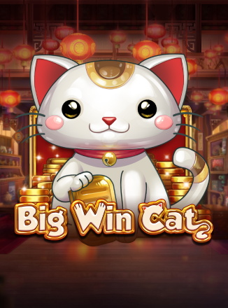 Big Win Cat