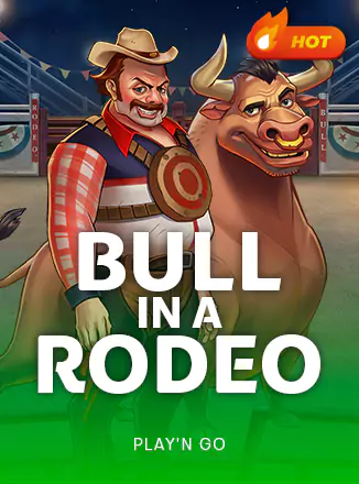 Bull in a Rodeo