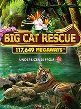 Big Cat Rescue Megaways