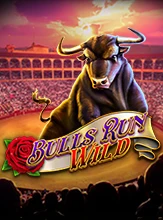 Bulls Run Wild