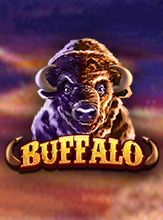 Buffalo