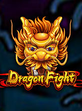 Dragon Fight