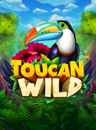 Toucan Wild