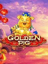Golden Pig