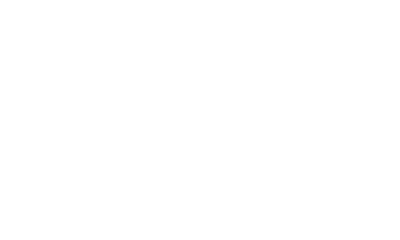 ACE333