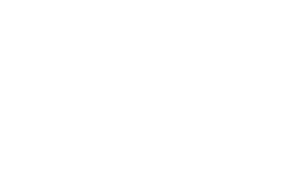 Hectic Play(SIT)