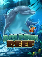 Dolphin Reef