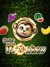 Baby Monkey