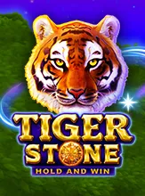 Tiger Stone