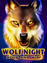 Wolf Night