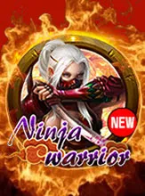 Ninja Warrior