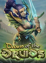 Dawn of the Druids