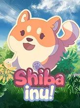 Shiba Inu