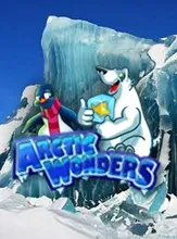 Arctic Wonders