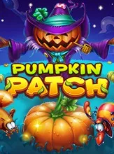 Pumpkin Patch