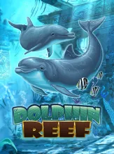 DolphinReef