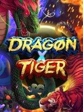 Dragon X Tiger