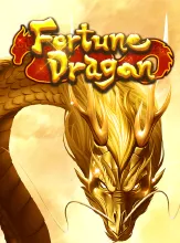 Fortune Dragon