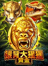 Silverback Gold