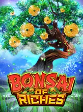BonsaiOfRiches