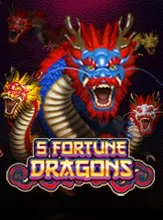 5 Fortune Dragons